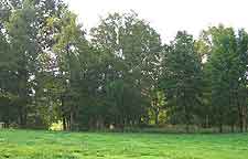 Call us today, 334-323-1124 to see yourself in this grand home with acreage, Mathews, Alabama