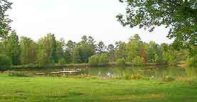 Call us today, 334-323-1124 to see yourself in this grand country home, Mathews, Alabama