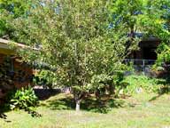 Call us today, 334-323-1124 to see yourself in this Carol Villa home, Montgomery, Alabama