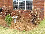 Call us today, 334-323-1124 to see yourself relaxing in your own private backyard oasis, Prattville, Alabama